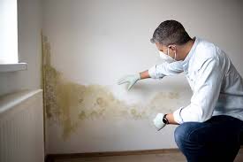 Best Forensic Mold Investigation  in Milford, NE